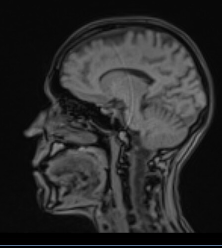 Image 11-15-25 at 11.10 AM