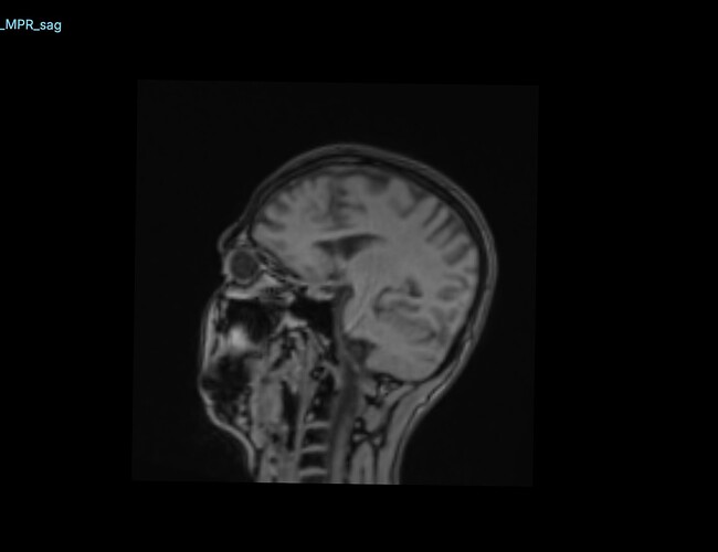 Screenshot 2025-11-15 at 11.33.22 AM